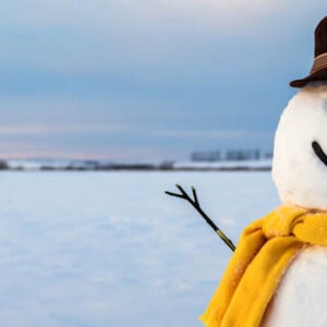 snowman decorative image