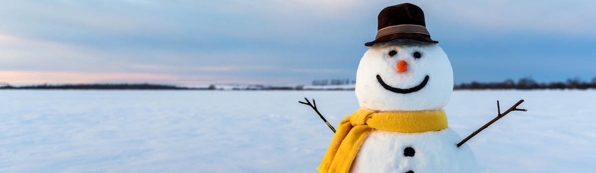 snowman decorative image