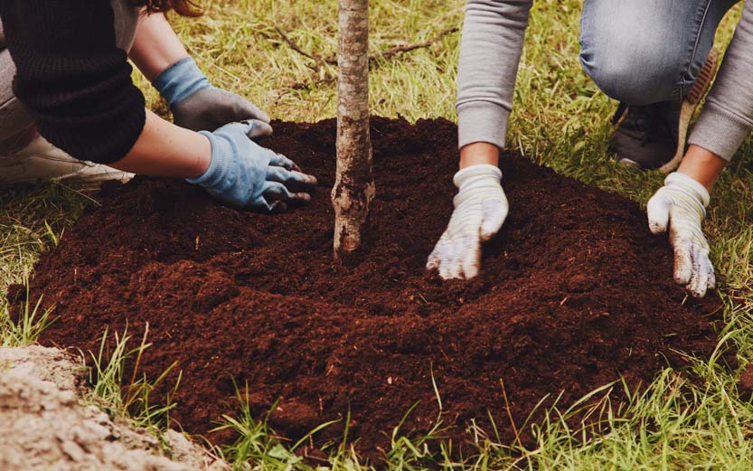 Spring is for… tree planting!