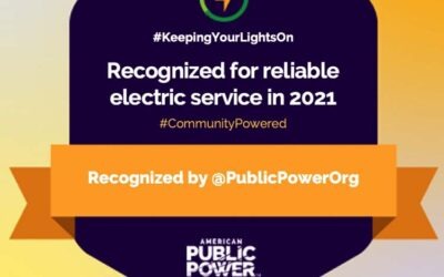 Third Taxing District Electric Dept. has received national recognition for achieving exceptional electric reliability in 2021