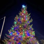 TTD holiday tree